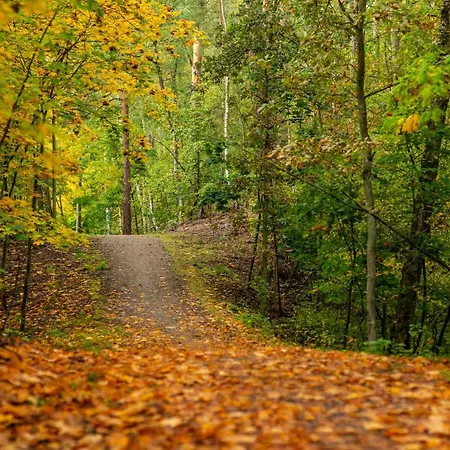Ncnk Osiedle Bursztynowe W Jantarze Apartament