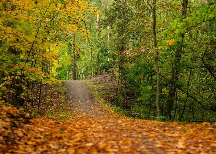 Mierzeja -osiedle Bursztynowe, Lejlighed
