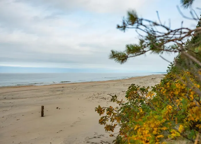 Mierzeja -osiedle Bursztynowe, Jantar